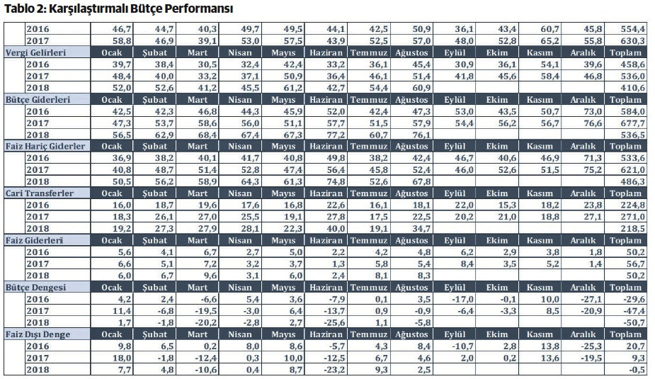Döviz kuru, enflasyon, kamu maliyesi ve ödemeler dengesi - Resim : 2