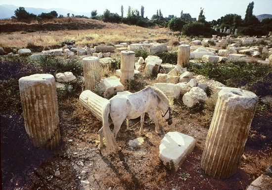 Ara Güler'in objektifinden keşfettiği antik kent Aphrodisias - Resim : 4