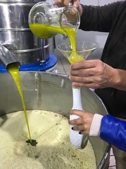 Ayvalık'ın sloganı "Zeytinyağı, sağlık kaynağı" - Resim : 3