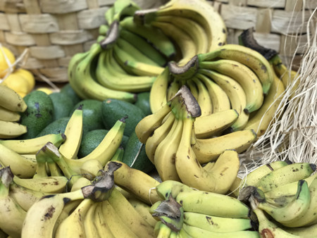 Besin alerjisi mi, yoksa besin intoleransı mı? - Resim : 3