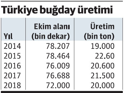 Buğday üretiminden kaçış korkutuyor - Resim : 1