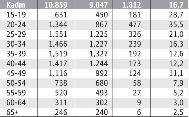 İşte tüm yaş gruplarına göre işsizlik tablomuz... - Resim : 2