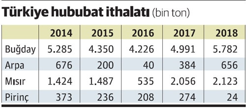 Dünya buğday üretimi artarken Türkiye'de neden düşüyor? - Resim : 1