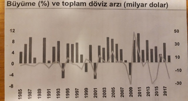 Döviz varsa büyüme var! Gerisi hikaye... - Resim : 1