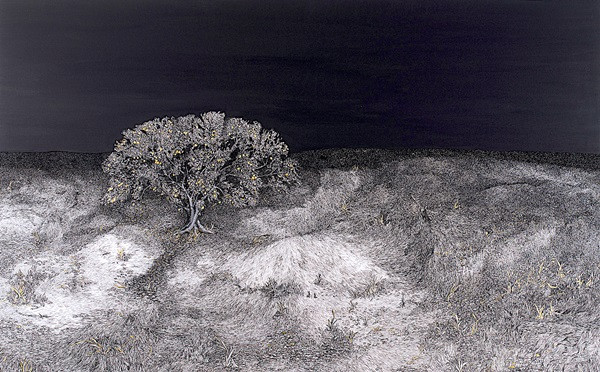 Biliyor musunuz? - Resim : 4