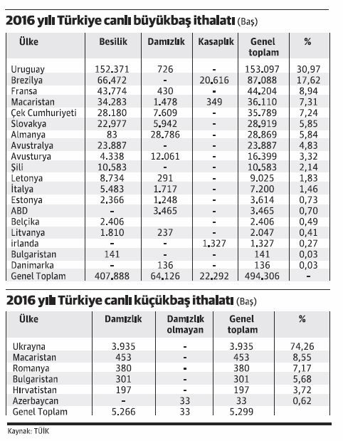 Hayvancılıkta ithalat zirve yaptı, ihracat sıfırlandı - Resim : 2