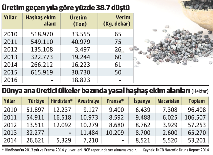 Türkiye haşhaş üretiminde dünya lideri - Resim : 1