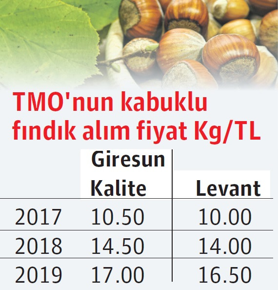 Fındıkta yalan rüzgarı, fiyatı aşağıya çekti - Resim : 1