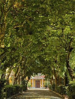 Galatasaray Lisesi 150 yaşında - Resim : 3