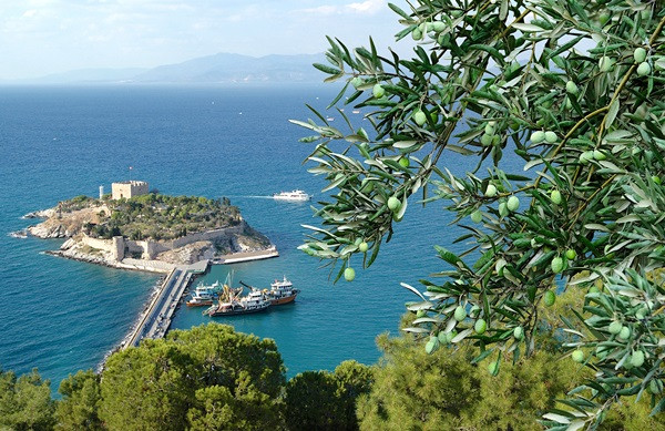 "Hayat kısa, kuşlar uçuyor" - Resim : 2