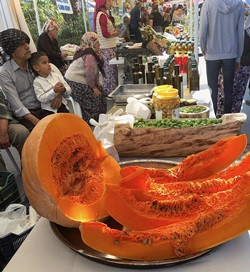 "Hayat kısa, kuşlar uçuyor" - Resim : 8