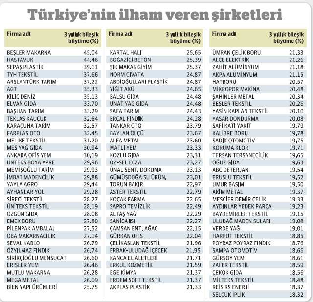 İşte büyümede rekor kıran Türkiye'nin dinamik şirketleri - Resim : 1
