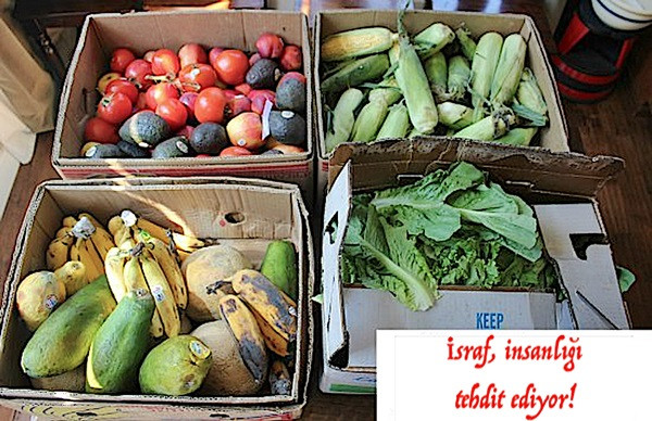 İsraf ederek dünyayı tüketiyoruz! - Resim : 8