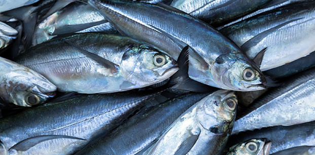 İyot yetersizliğine dikkat! - Resim : 3