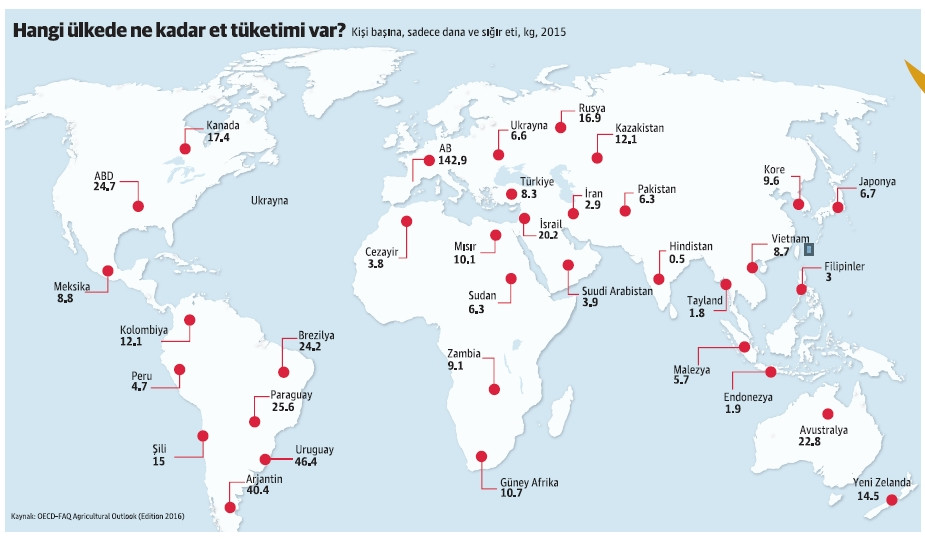 Bunun adı sıkı vejetaryenlik! - Resim : 1