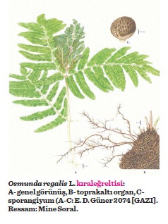 hepsi 30 cilt, 17 bin sayfa - Resim : 2