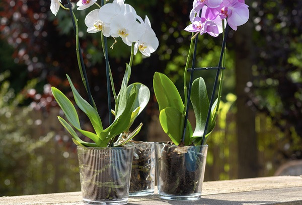 Biliyor musunuz? - Resim : 7