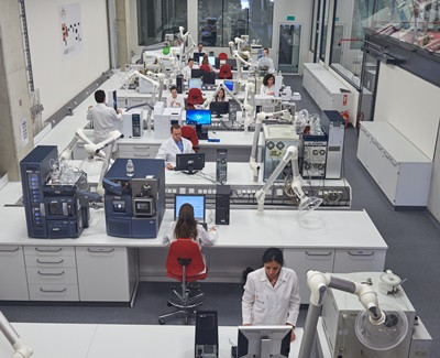 Arılarla dünya markası olmak - Resim : 1