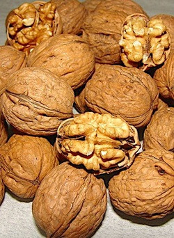 “Sağlıklı beslenme, beyin sağlığını koruyor” - Resim : 2