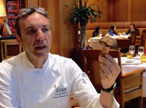 Şimdi, porçini ve trüf mantarları zamanı - Resim : 2