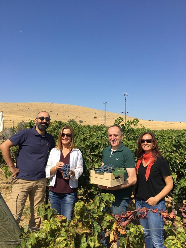 Mey- Diageo eşsiz Anadolu üzümlerine küresel arenada değer katıyor - Resim : 1