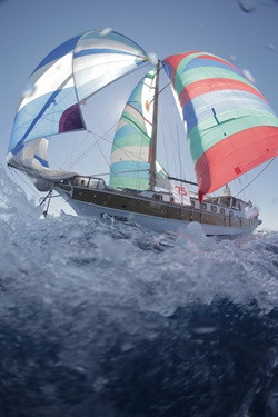 The Bodrum Cup ödülleri sahiplerini buldu - Resim : 2