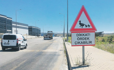 Caddelerinde “Ördek Çıkabilir” uyarısı bulunan OSB - Resim : 1
